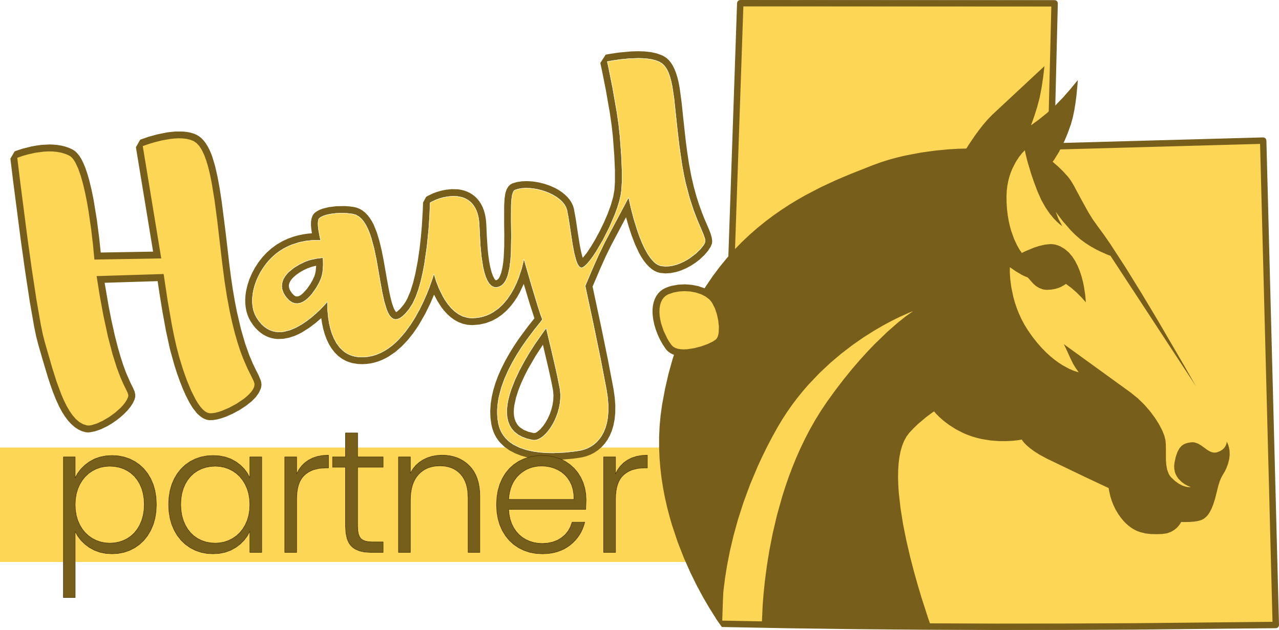 Hay Partner